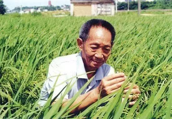 一日三餐，米香彌漫，飽食者當(dāng)憶袁公！